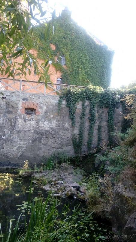 Замок Радомысль – современная достопримечательность Полесья