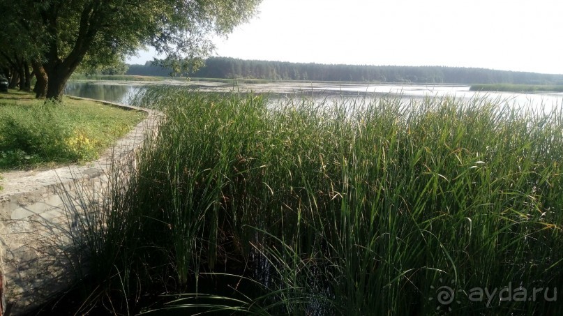 Замок Радомысль – современная достопримечательность Полесья
