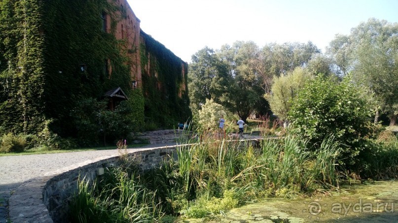 Замок Радомысль – современная достопримечательность Полесья