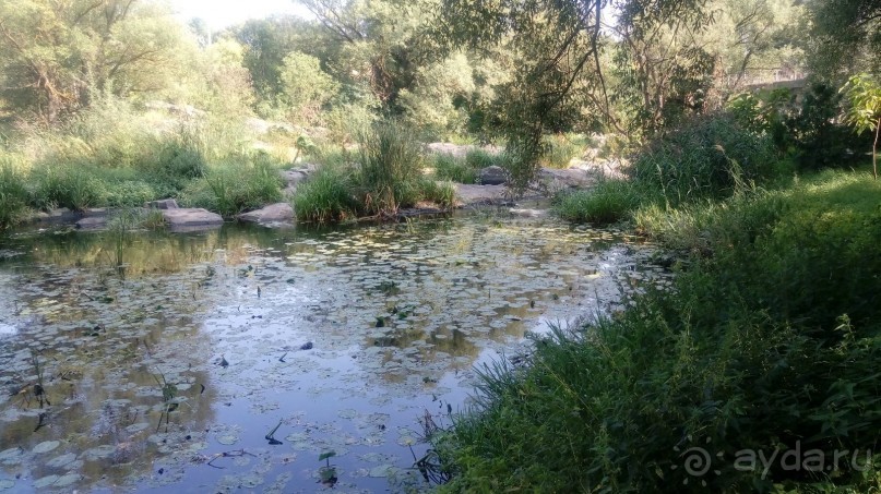 Замок Радомысль – современная достопримечательность Полесья