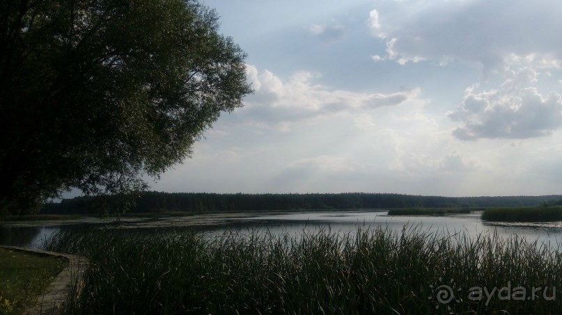 Замок Радомысль – современная достопримечательность Полесья