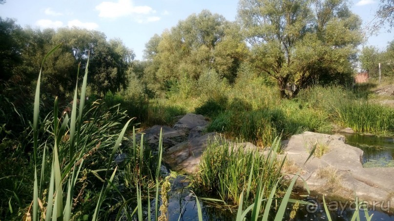 Замок Радомысль – современная достопримечательность Полесья