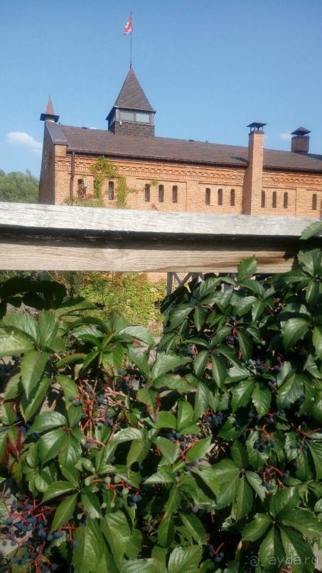 Замок Радомысль – современная достопримечательность Полесья