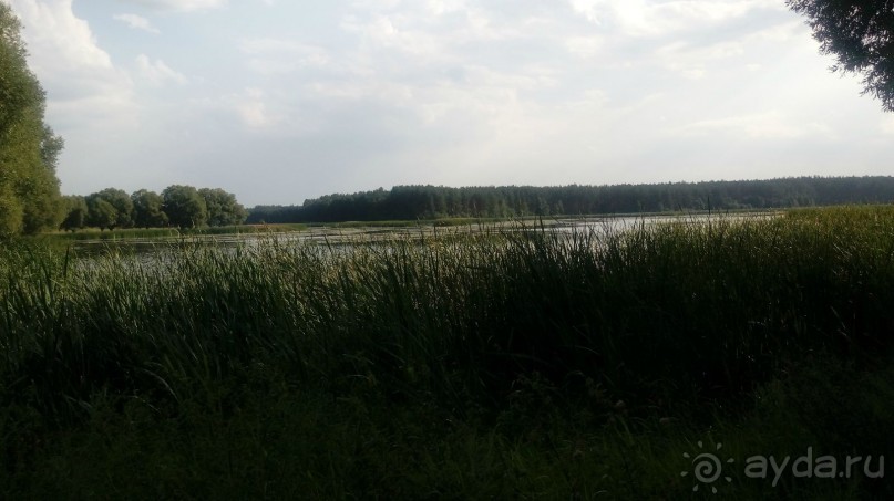 Замок Радомысль – современная достопримечательность Полесья