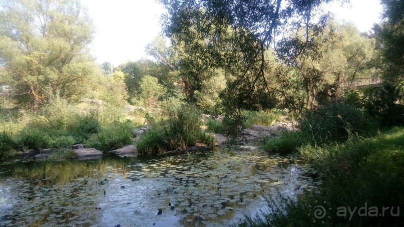 Замок Радомысль – современная достопримечательность Полесья