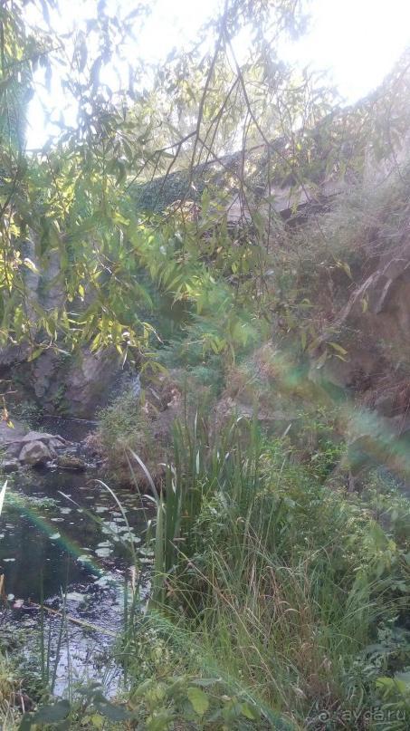 Замок Радомысль – современная достопримечательность Полесья