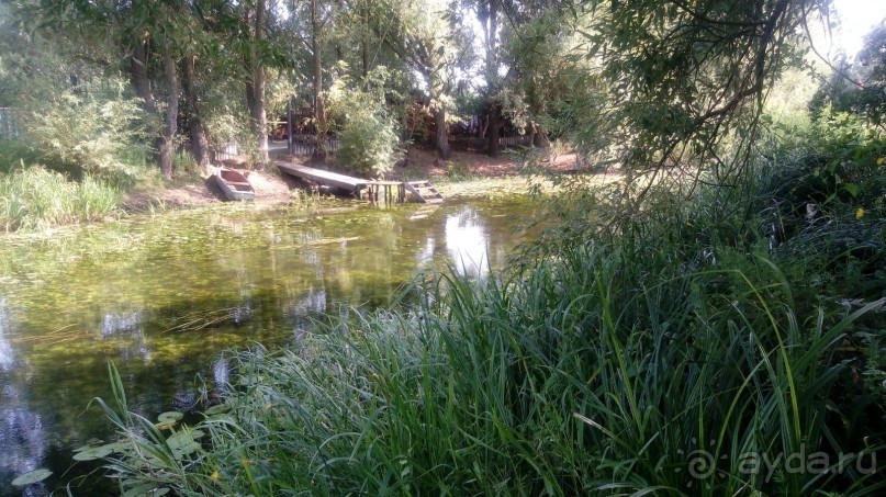 Замок Радомысль – современная достопримечательность Полесья