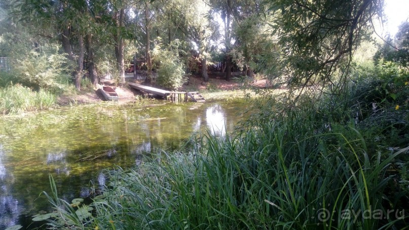 Замок Радомысль – современная достопримечательность Полесья