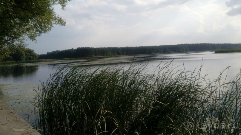 Замок Радомысль – современная достопримечательность Полесья