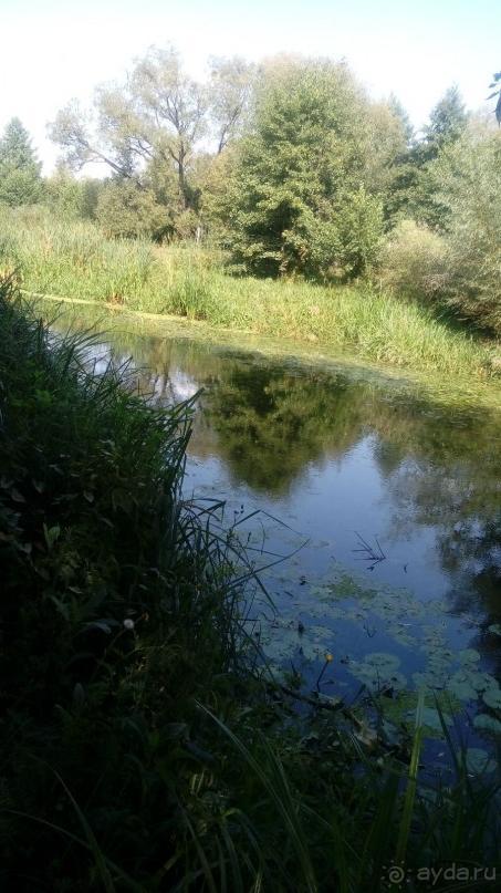 Замок Радомысль – современная достопримечательность Полесья