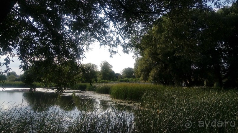 Замок Радомысль – современная достопримечательность Полесья