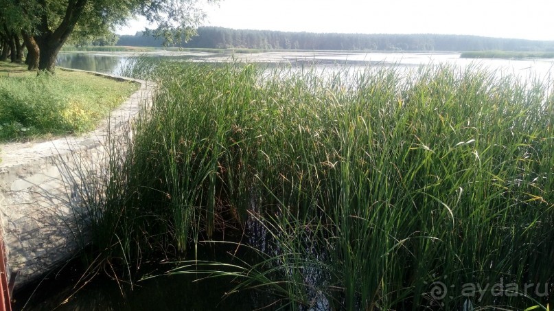Замок Радомысль – современная достопримечательность Полесья