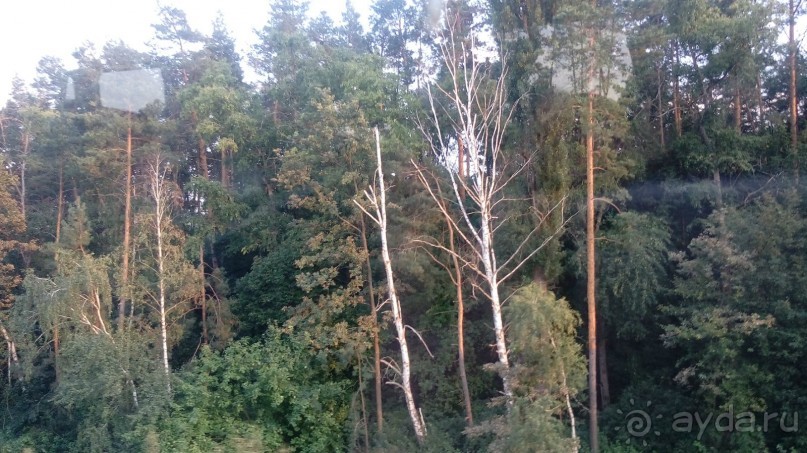 Замок Радомысль – современная достопримечательность Полесья