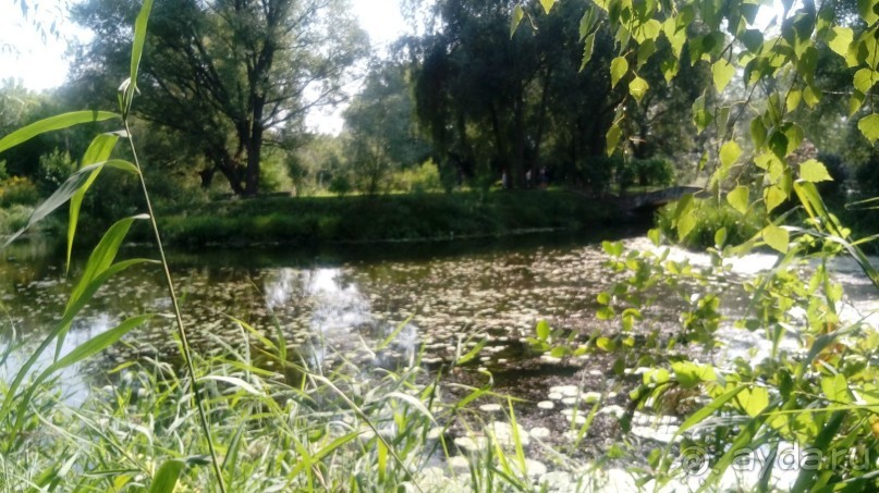 Замок Радомысль – современная достопримечательность Полесья