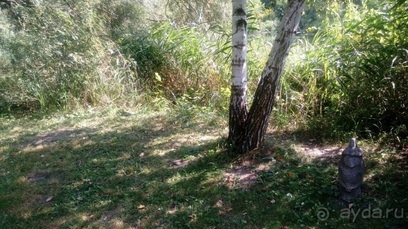 Замок Радомысль – современная достопримечательность Полесья