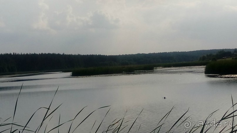 Замок Радомысль – современная достопримечательность Полесья