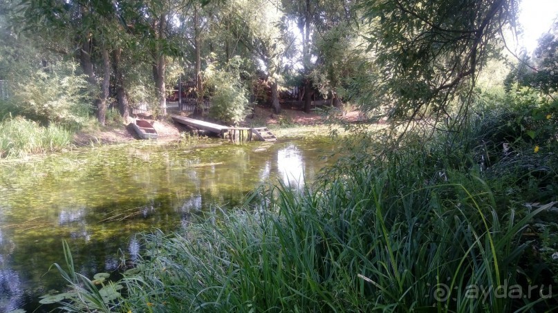 Замок Радомысль – современная достопримечательность Полесья