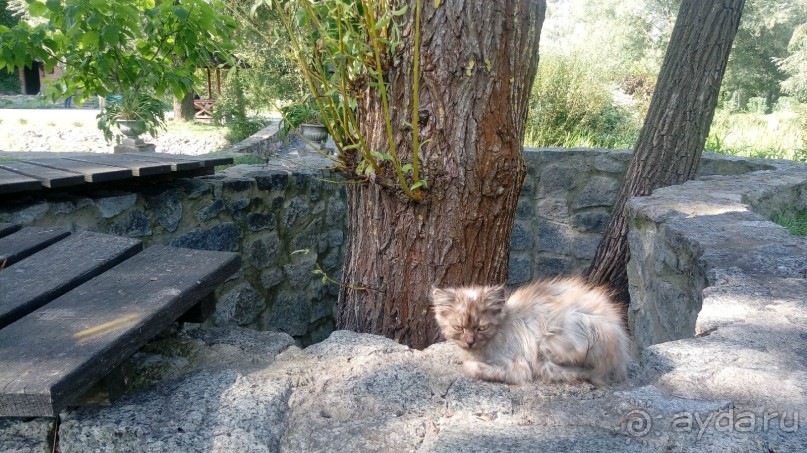 Замок Радомысль – современная достопримечательность Полесья