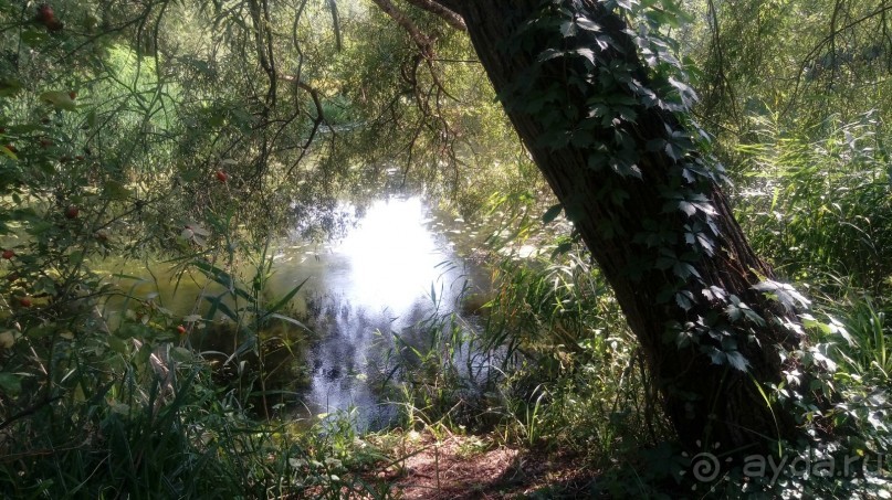 Замок Радомысль – современная достопримечательность Полесья