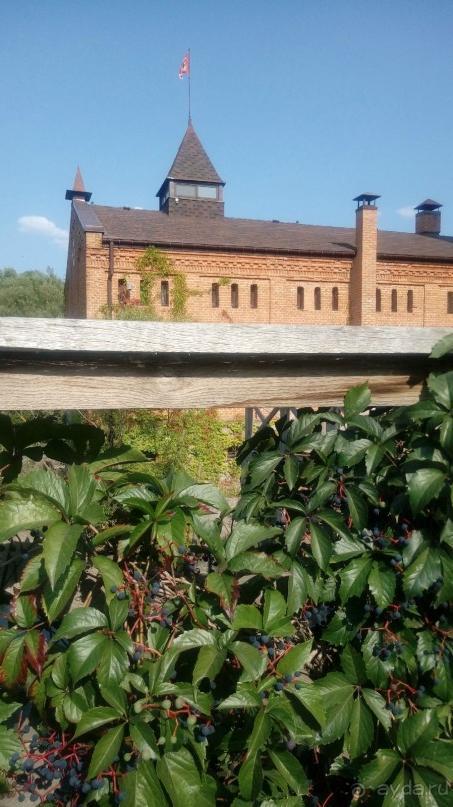 Замок Радомысль – современная достопримечательность Полесья