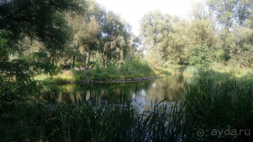 Замок Радомысль – современная достопримечательность Полесья