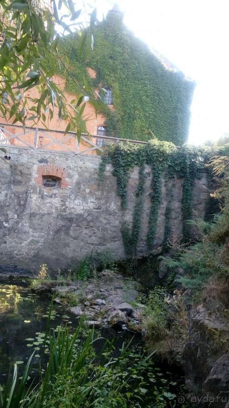 Замок Радомысль – современная достопримечательность Полесья