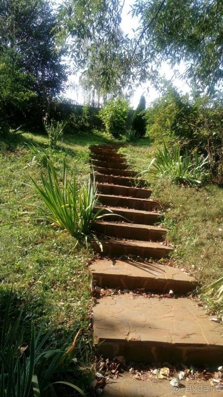 Замок Радомысль – современная достопримечательность Полесья