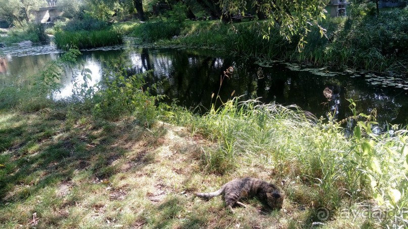 Замок Радомысль – современная достопримечательность Полесья