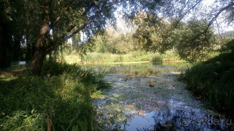 Замок Радомысль – современная достопримечательность Полесья