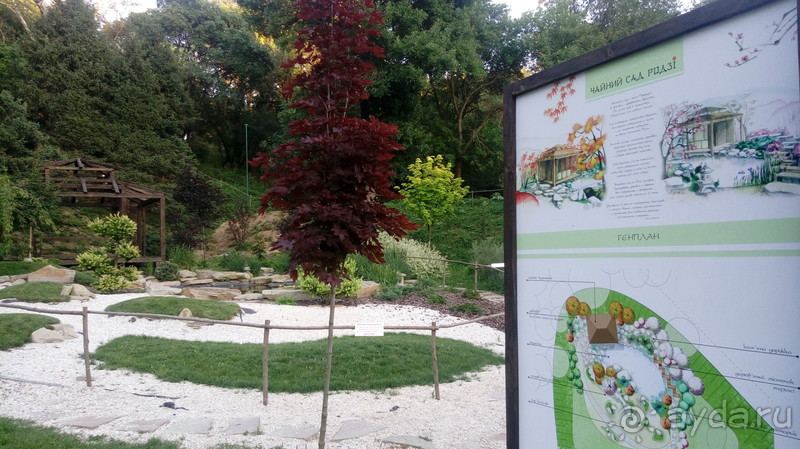 Альбом отзыва "Киев, Ботанический сад. Весна-лето, осень-зима, а в середине Вечность! Осень."