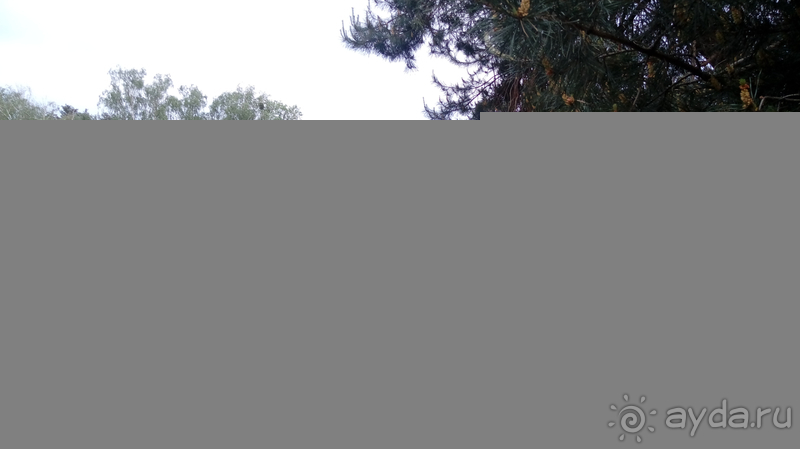 Альбом отзыва "Киев, Ботанический сад. Весна-лето, осень-зима, а в середине Вечность! Осень."