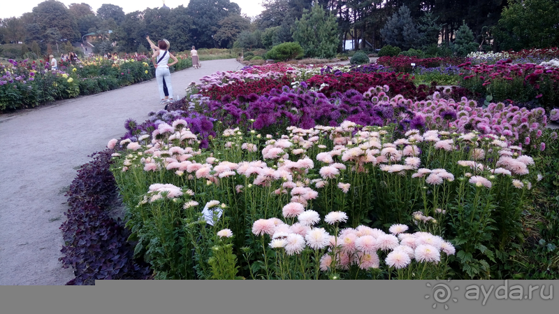 Альбом отзыва "Киев, Ботанический сад. Весна-лето, осень-зима, а в середине Вечность! Осень."