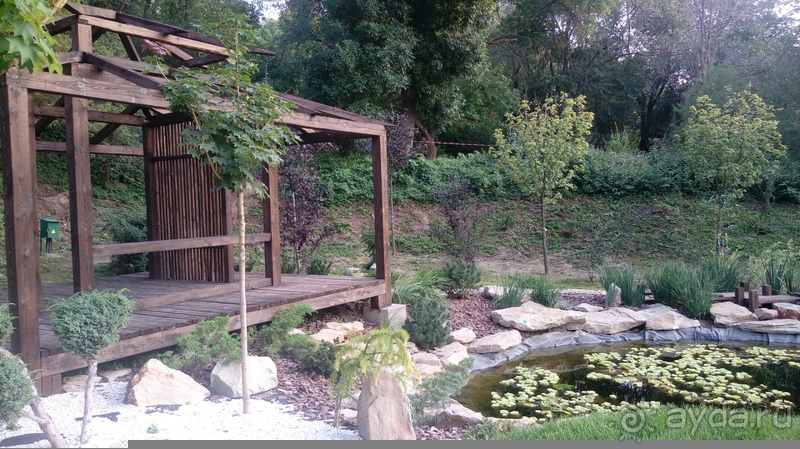 Альбом отзыва "Киев, Ботанический сад. Весна-лето, осень-зима, а в середине Вечность! Осень."