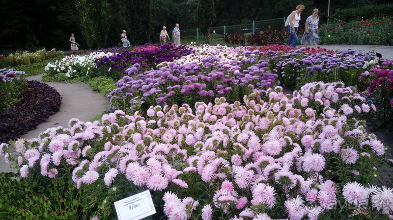Альбом отзыва "Киев, Ботанический сад. Весна-лето, осень-зима, а в середине Вечность! Осень."