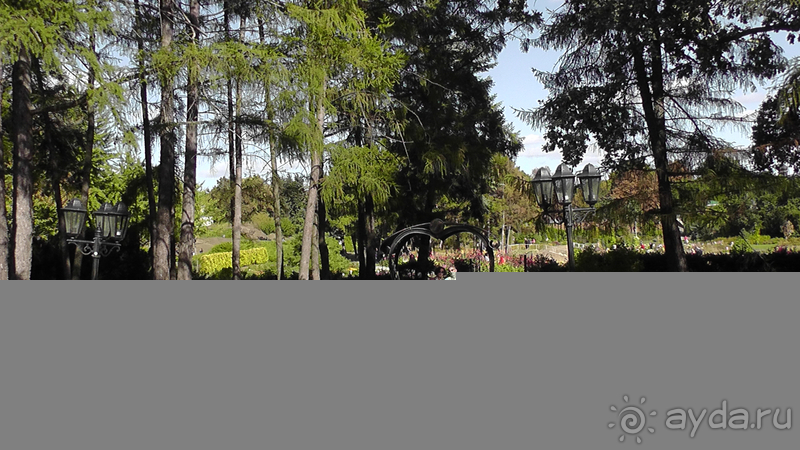 Альбом отзыва "Киев, Ботанический сад. Весна-лето, осень-зима, а в середине Вечность! Осень."