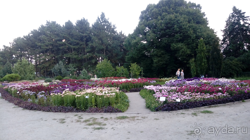 Альбом отзыва "Киев, Ботанический сад. Весна-лето, осень-зима, а в середине Вечность! Осень."