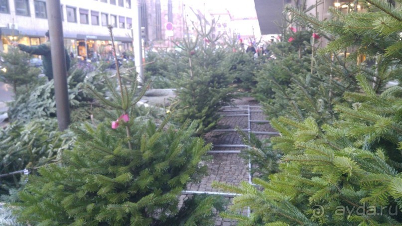 Нюрнберг, Германия – волшебное Рождество в сказочном городе!