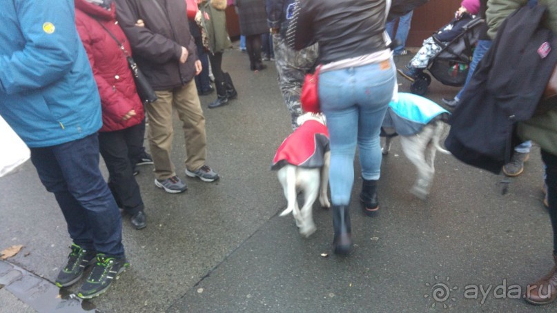 Нюрнберг, Германия – волшебное Рождество в сказочном городе!