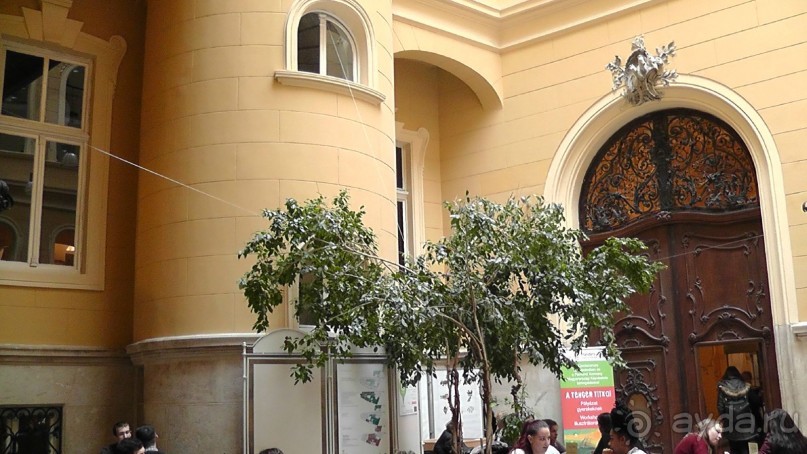 Это Венгрия! Городская библиотека Будапешт