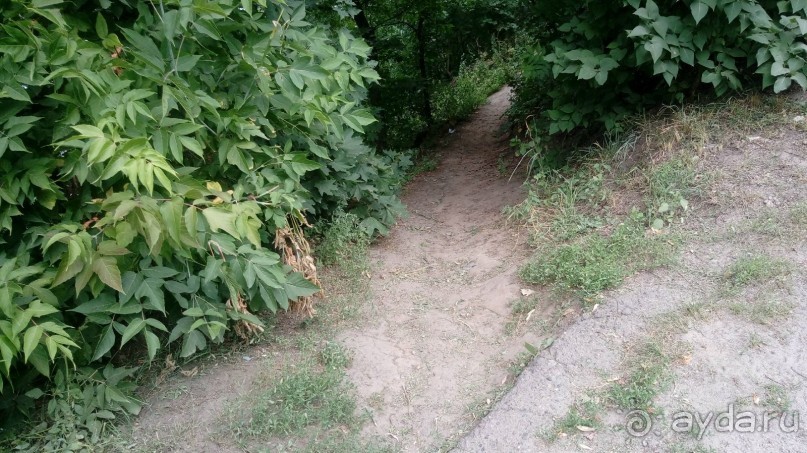 Корсунь-Шевченковский -  стародавний город над Росью.