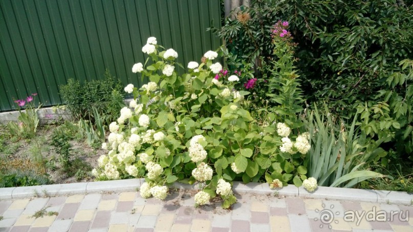 Корсунь-Шевченковский -  стародавний город над Росью.