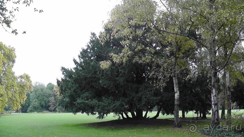 фото Kilikya Palace Goynuk