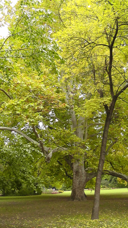 фото Kilikya Palace Goynuk