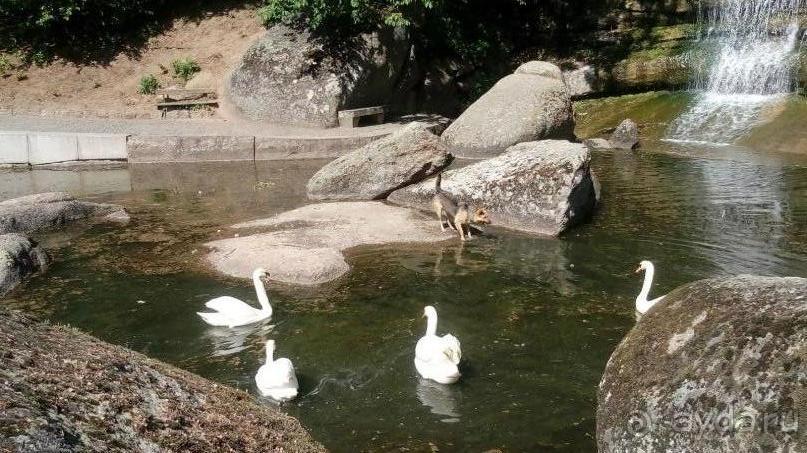 г. Умань. Парк 