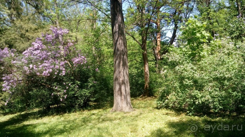 г. Умань. Парк 