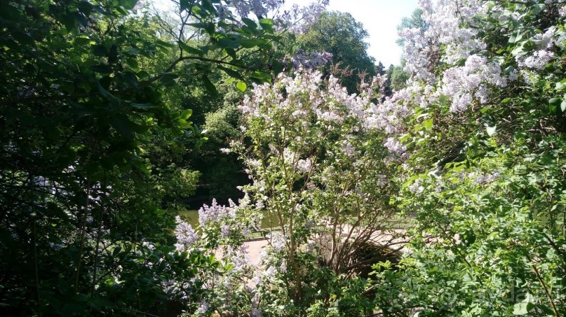 г. Умань. Парк 