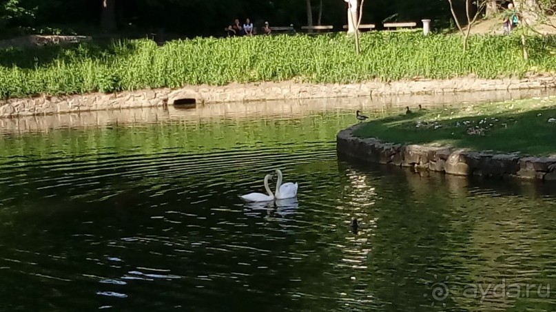 Альбом отзыва "г. Умань. Парк "Софиевка" – в очаровании цветущего мая!"