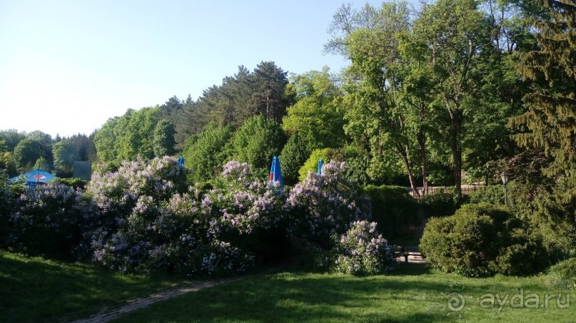 г. Умань. Парк 