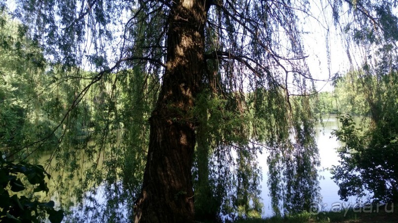 г. Умань. Парк 