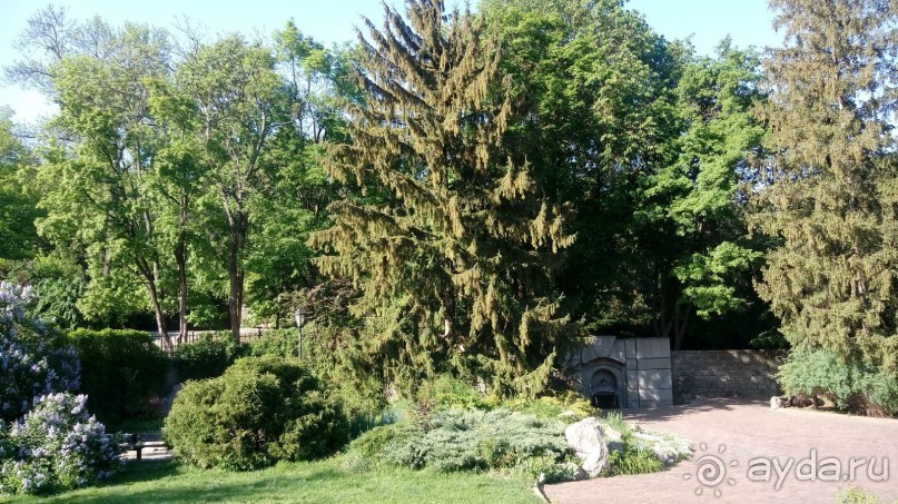 г. Умань. Парк 